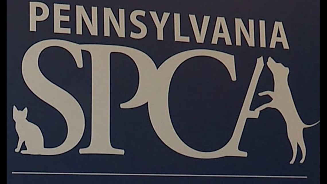 PSPCA removes 33 dogs from Lancaster County kennel