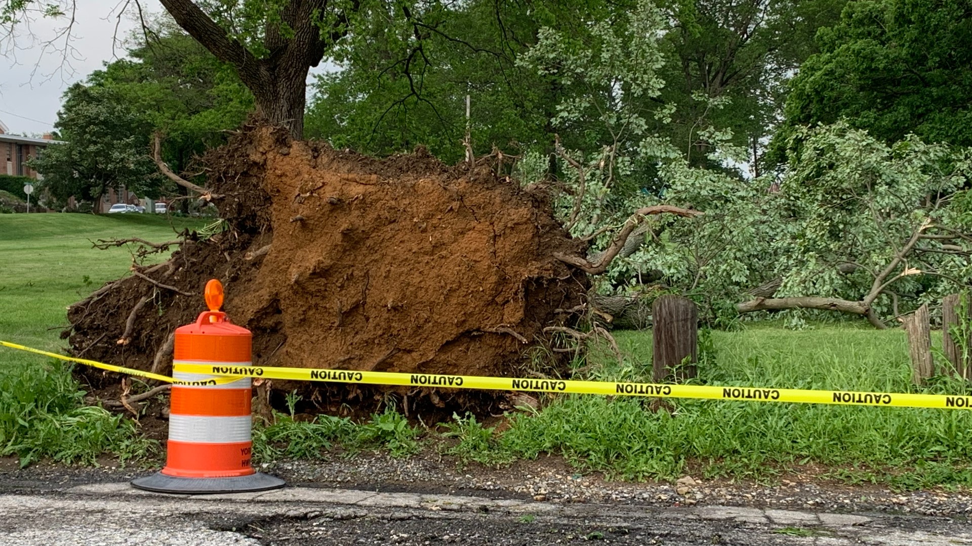 Numerous trees and power lines were toppled by wind and severe storms on Friday.