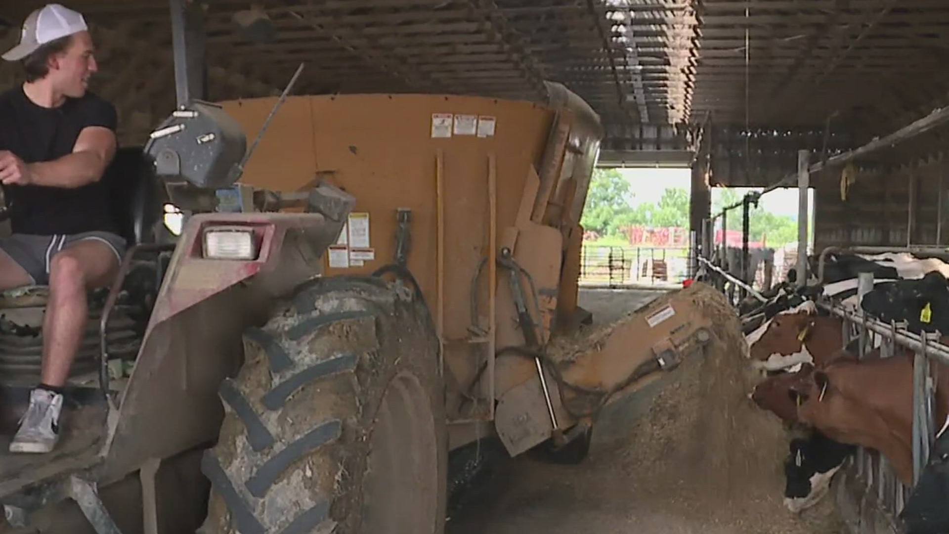 FOX43's Tyler Hatfield went to Stover Farms in Middlesex Township, Cumberland County, to learn what it takes to be a dairy farmer.