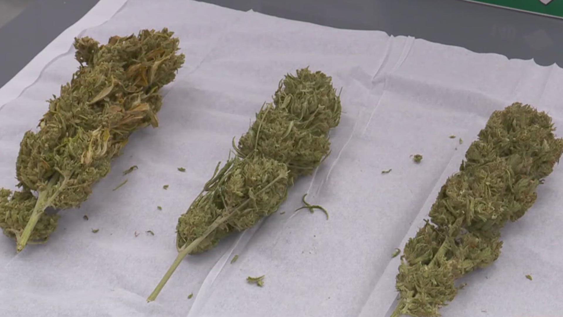 fox43.com - Ben Schittler - A closer look at the DOJ's rescheduling of medical marijuana
