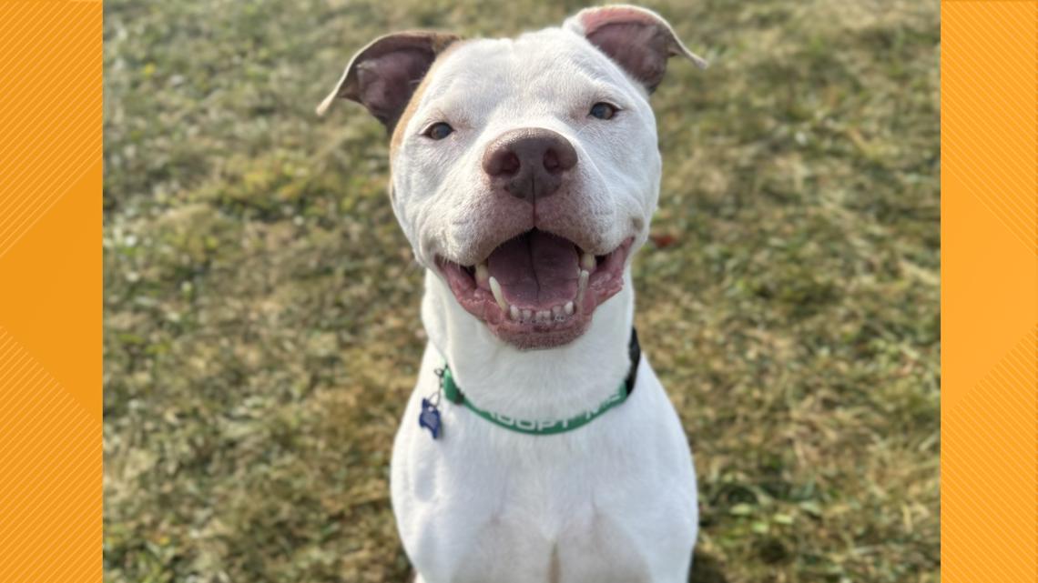 ad043864 430d 491e 8c23