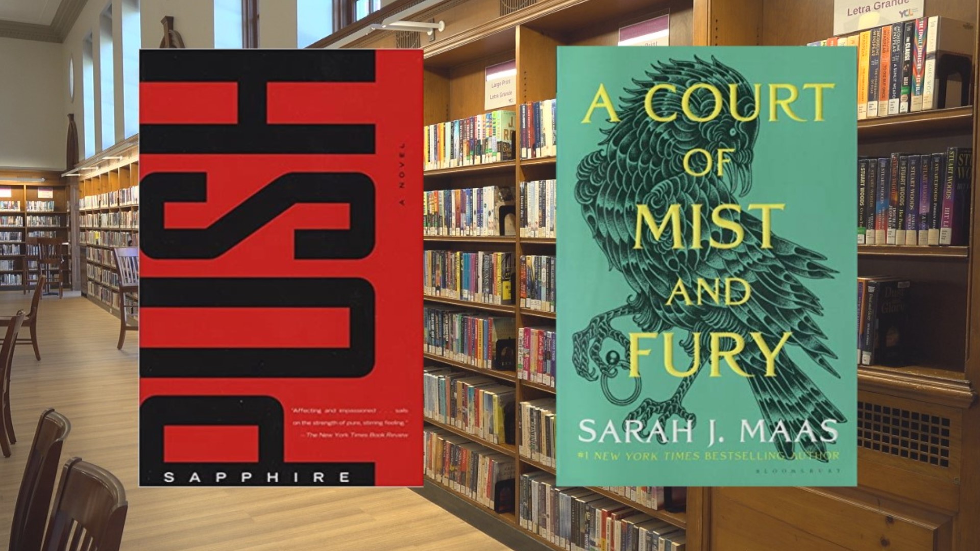 "Push" by Sapphire and "A Court of Mist and Fury" by Sarah J. Mass were both removed from shelves following complaints of sexual content.