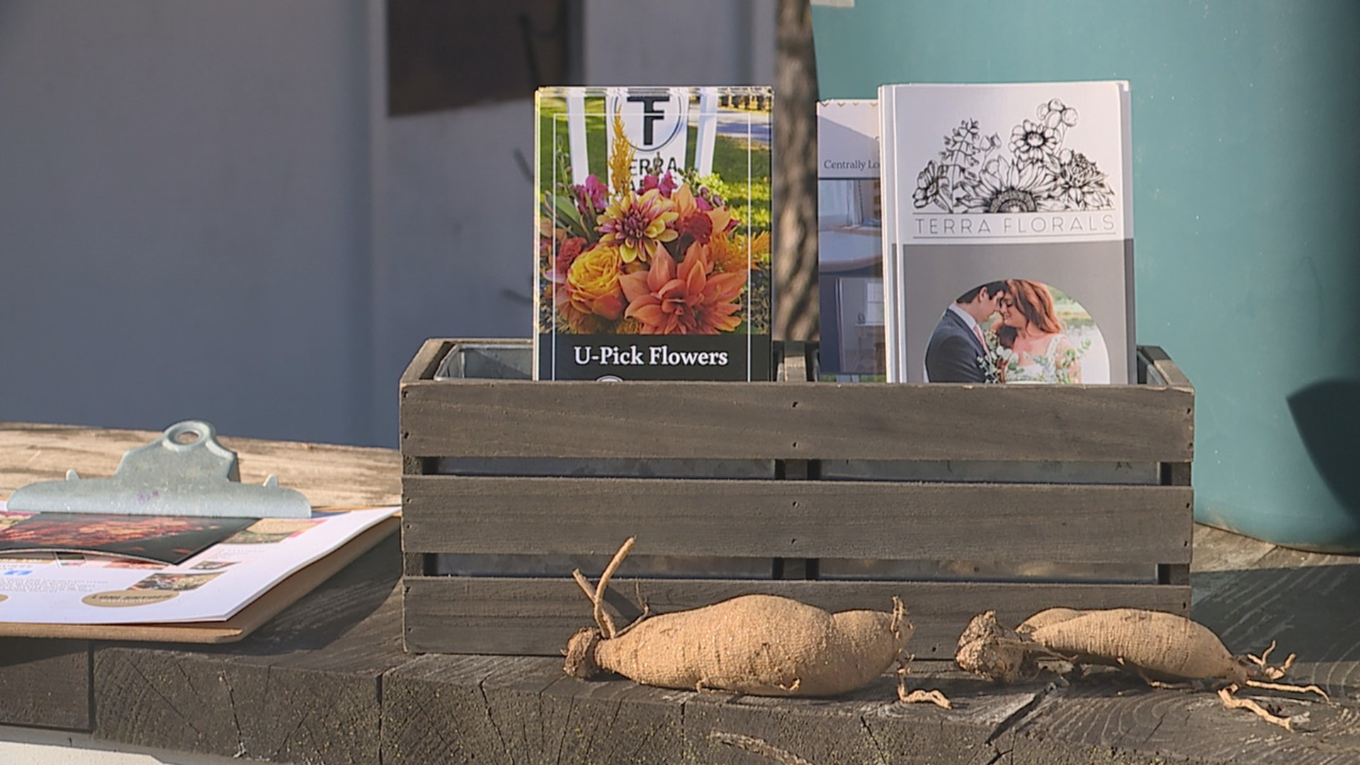 Terra Farms in Codorus Township expects February to be one of its busiest times of the year, thanks to the annual Dahlia tuber sale.