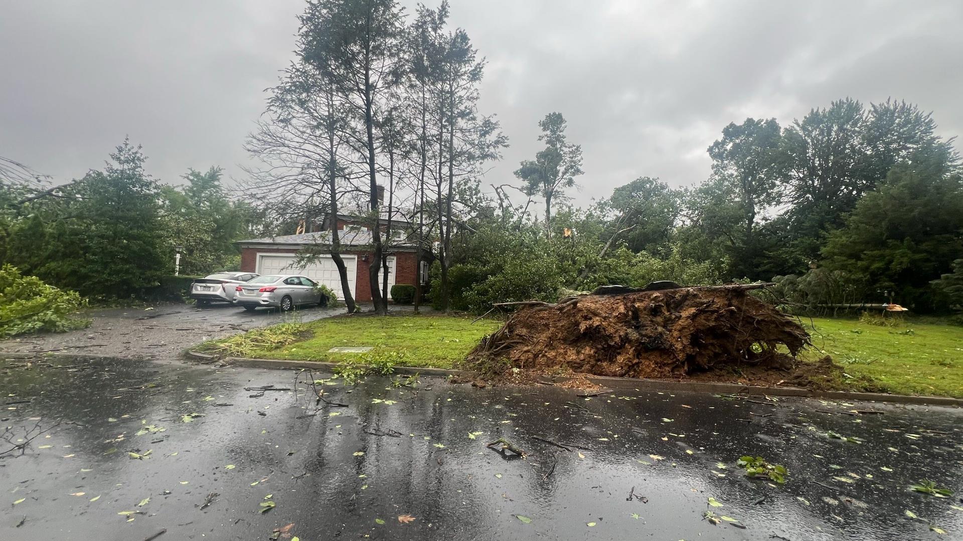 As storms with heavy winds and rain hit the area, many trees were uprooted and several buildings sustained damage.