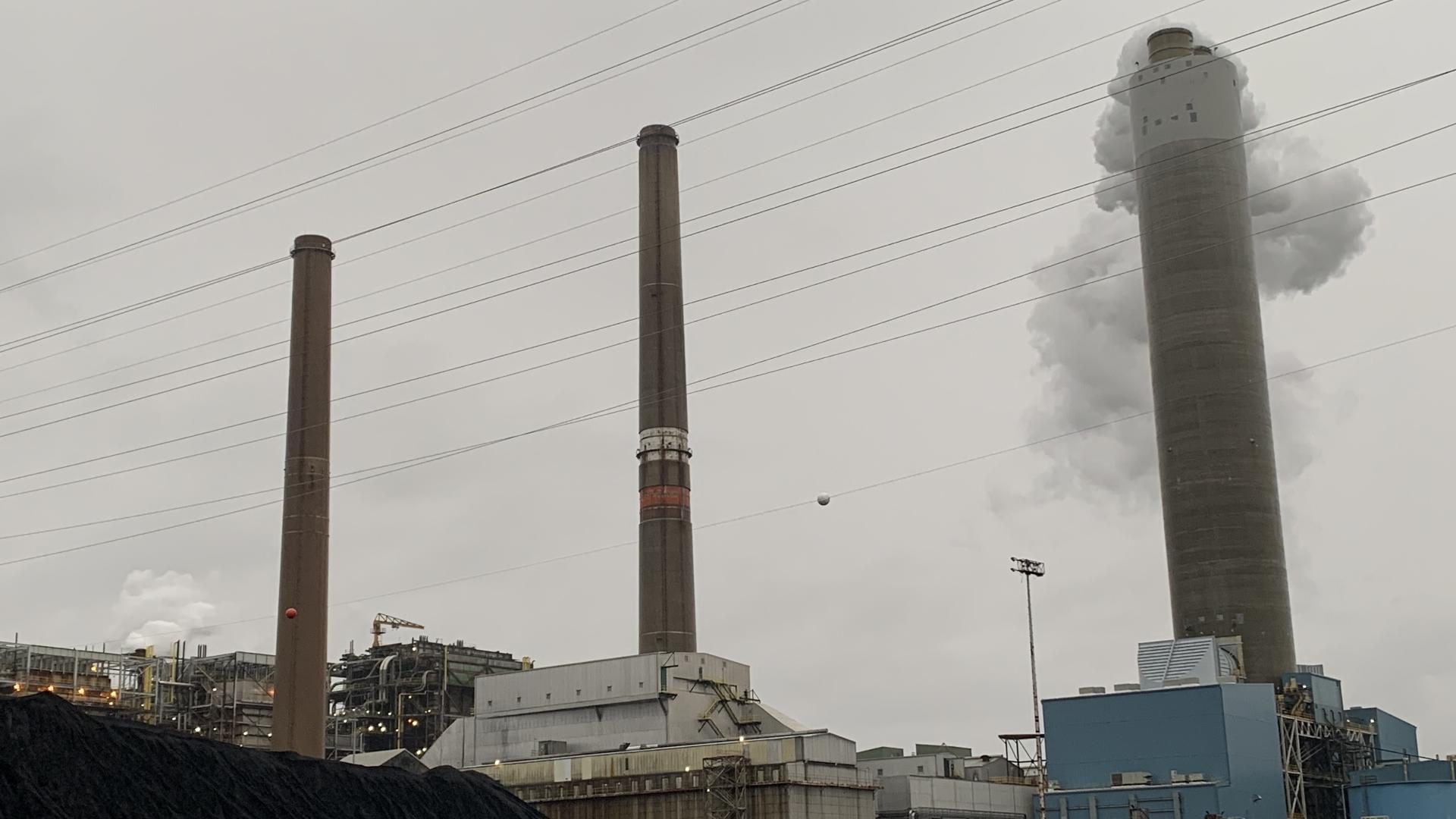 The Center of Biological Diversity accuses the power plant of failing to monitor pollution risks from its coal ash ponds.