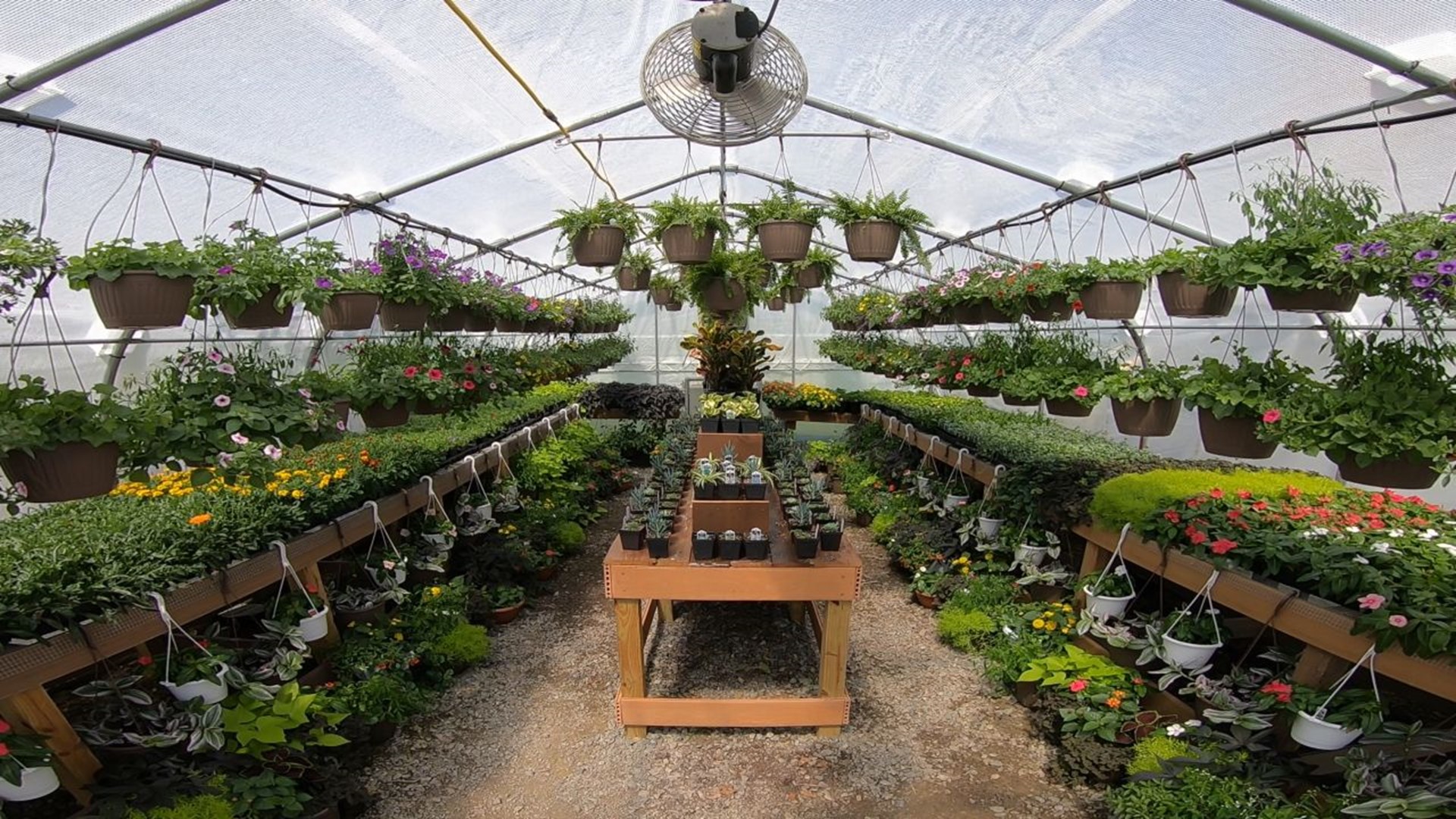 Buying plants/ plant shops in Jersey City Local Businesses