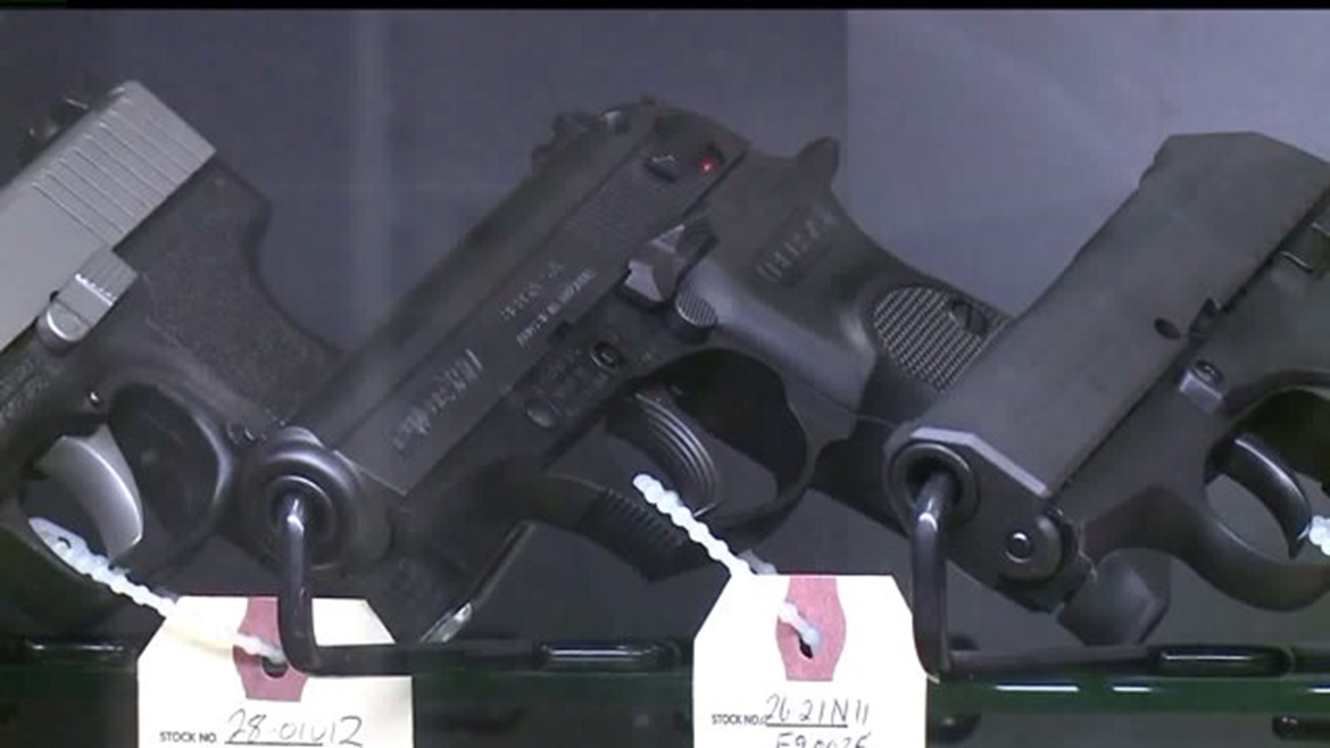 Gun Sales Rises After Shooting