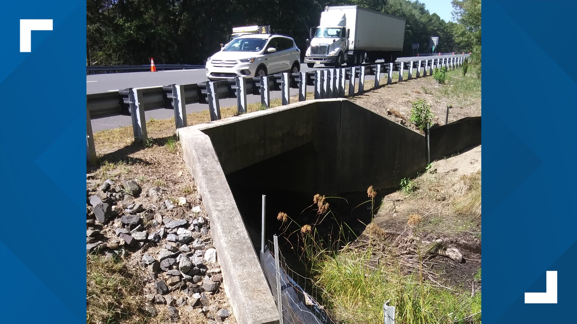 Summertime means more drivers on the road and more obstacles to watch out for. Pennsylvania plans to keep wildlife in the woods and out of your lane.