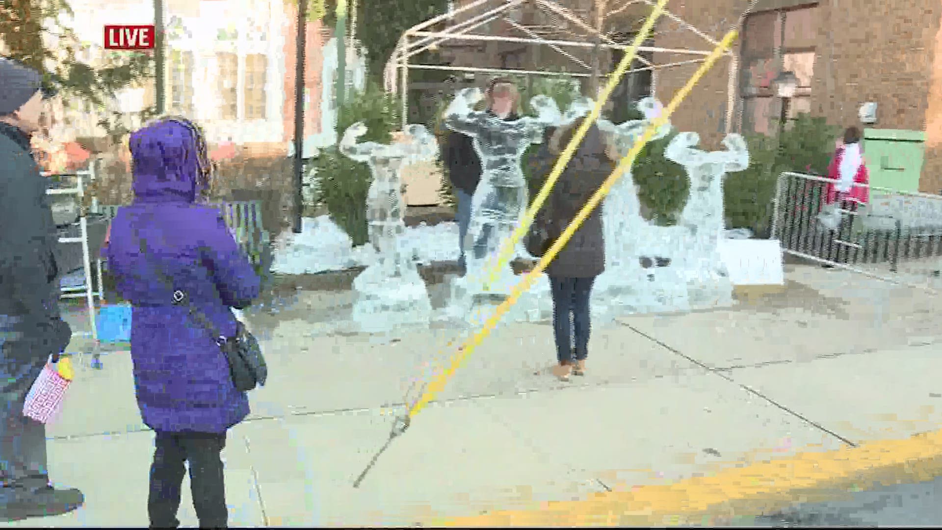 Ice Sculptures in  Lancaster County