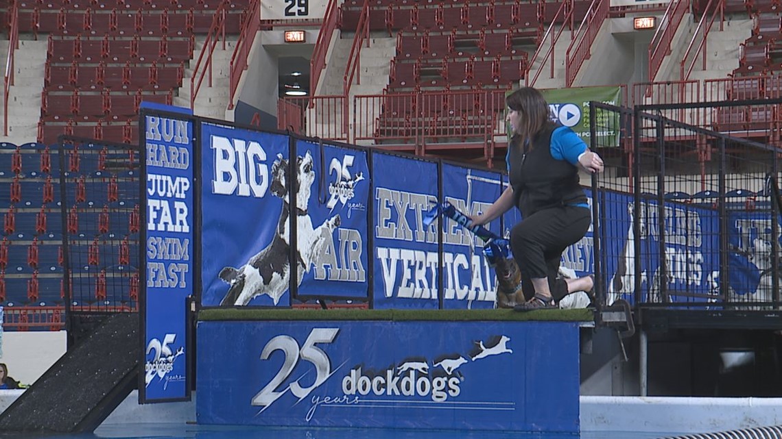 Dog trainers flock to participate in Big air competiton - Vimarsana News