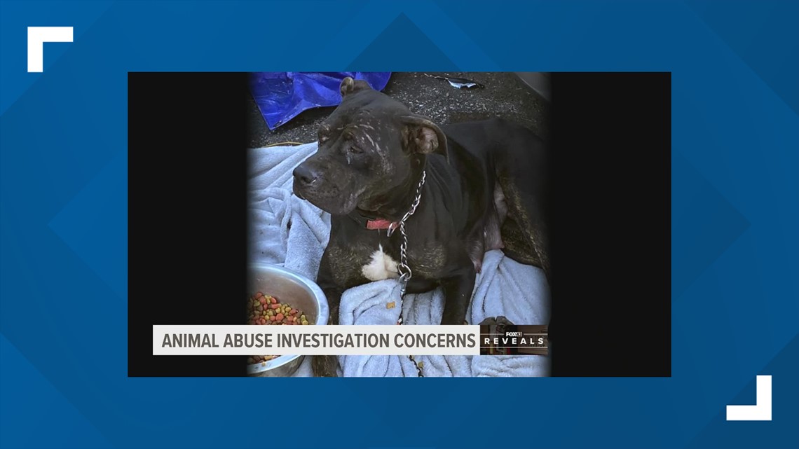 Animal cruelty investigations: An imperfect system | FOX43 Reveals