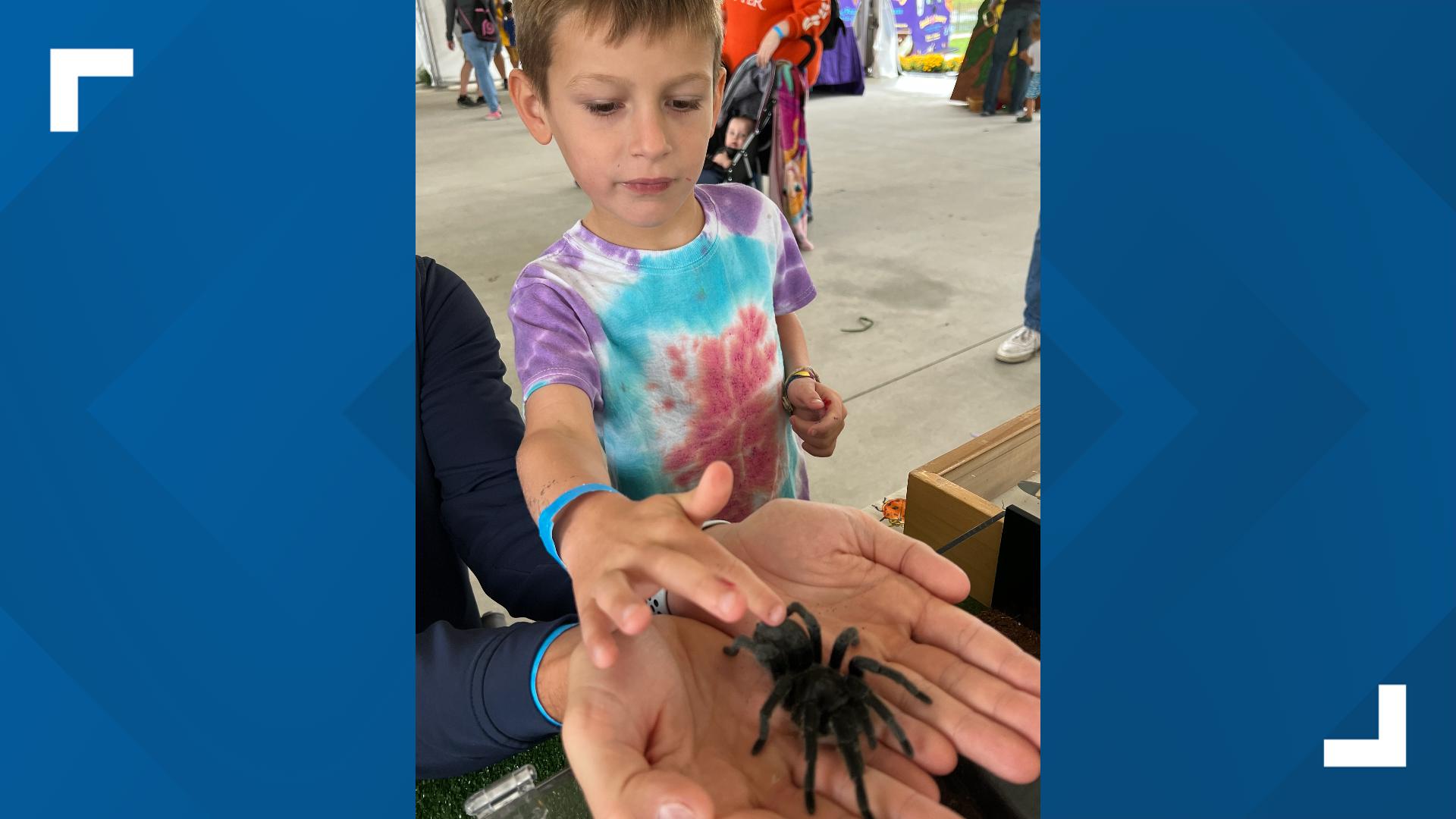 Unique insects from around the world will crawl to Hershey Gardens for Bug-O-Rama on Sunday.