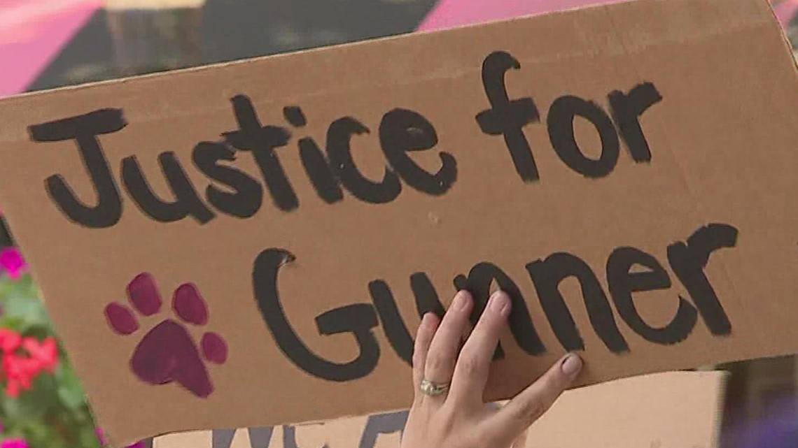 Lebanon residents demanding justice for dog shot by city police - Vimarsana News