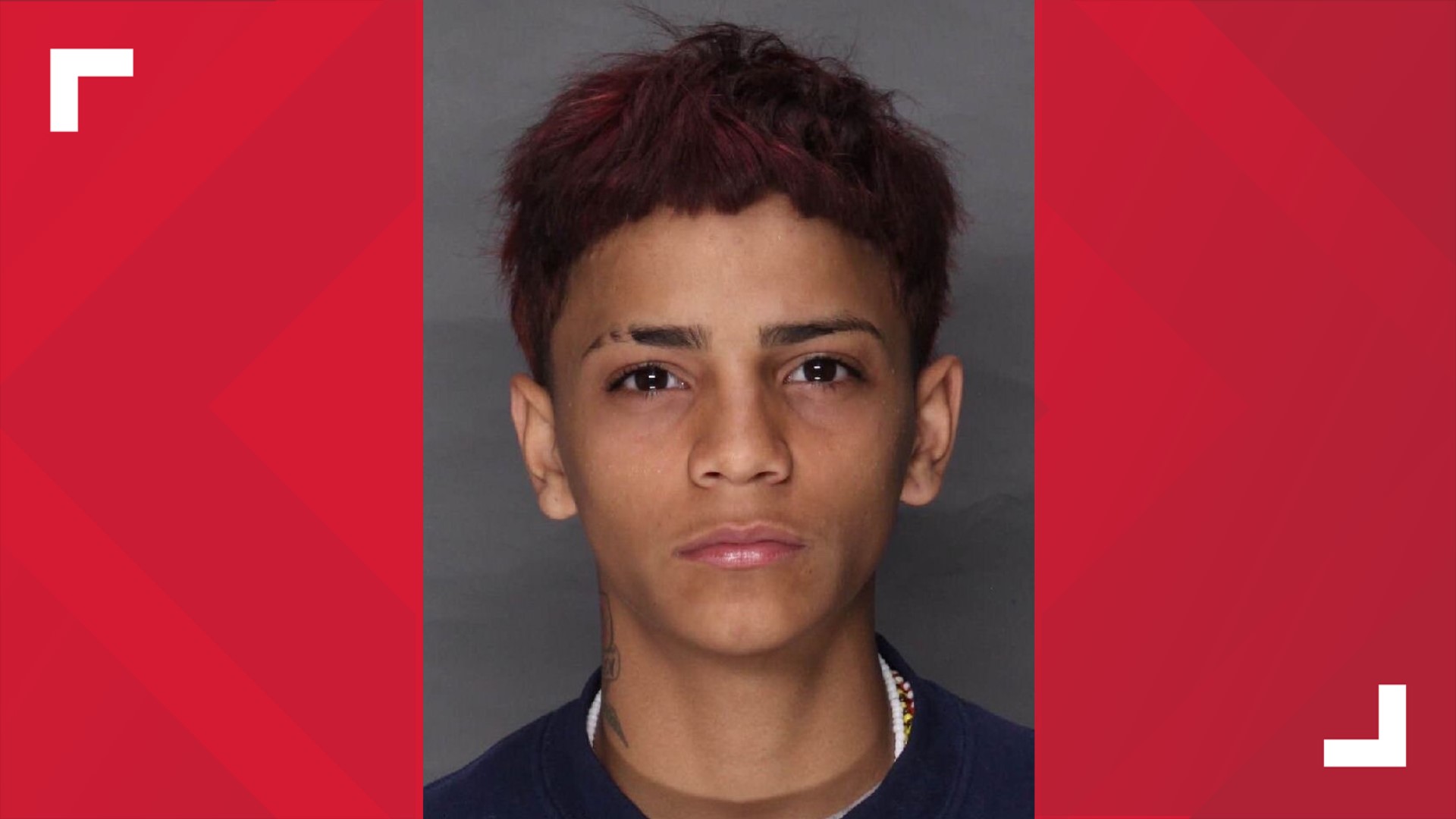 James Fernandez-Reyes, 16, is charged with shooting and killing 3 people last week. He also is wanted in connection to the death of a 12-year-old in Rochester, NY.