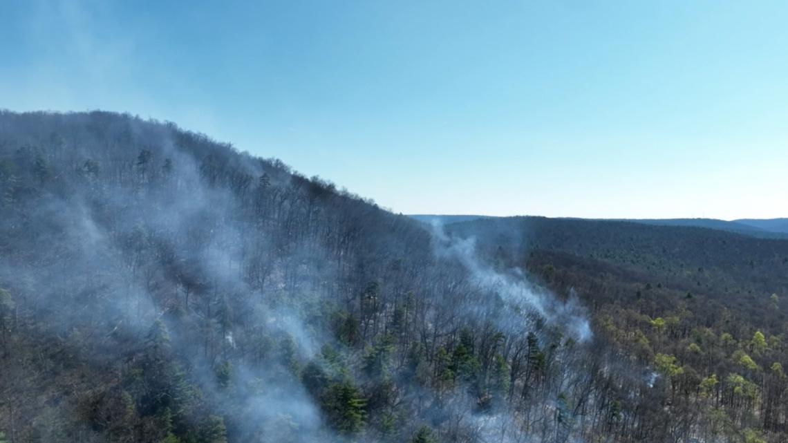 Firefighters continue working to contain Michaux State Forest wildfire