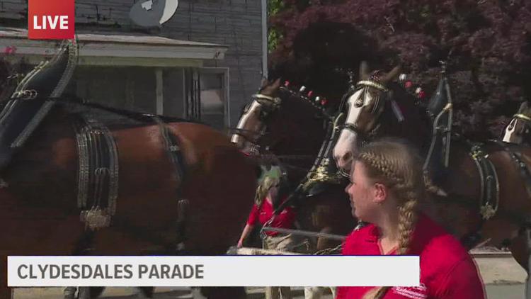 The Budweiser Clydesdales visit Central Pennsylvania