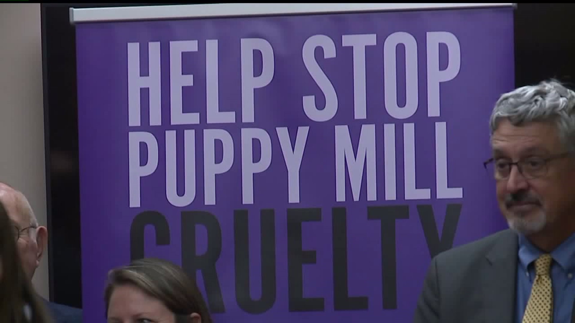 State lawmakers rally for bill to ban puppy mills