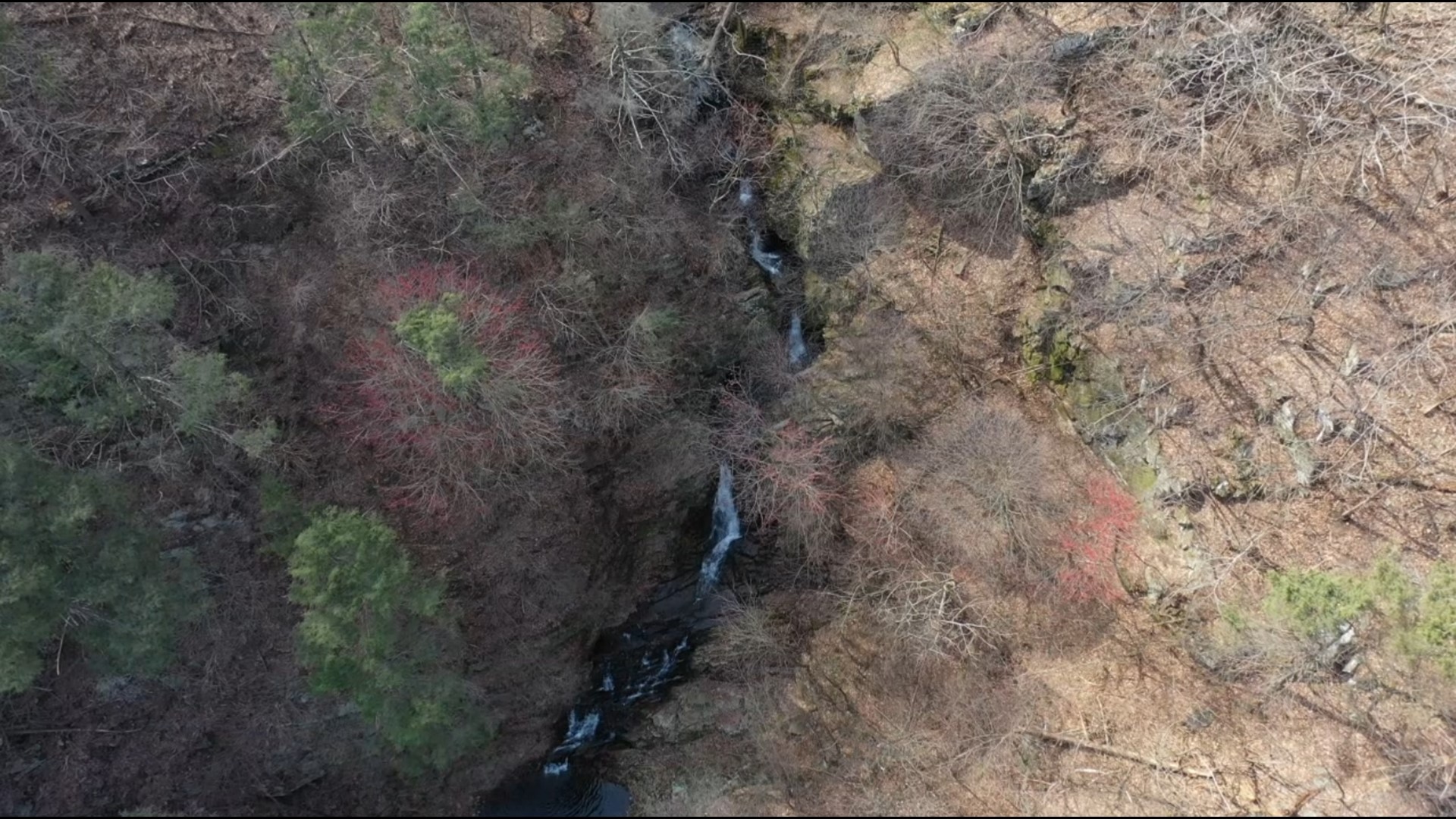 Hellam Hills Nature Preserve Saving natural beauty in Pa.