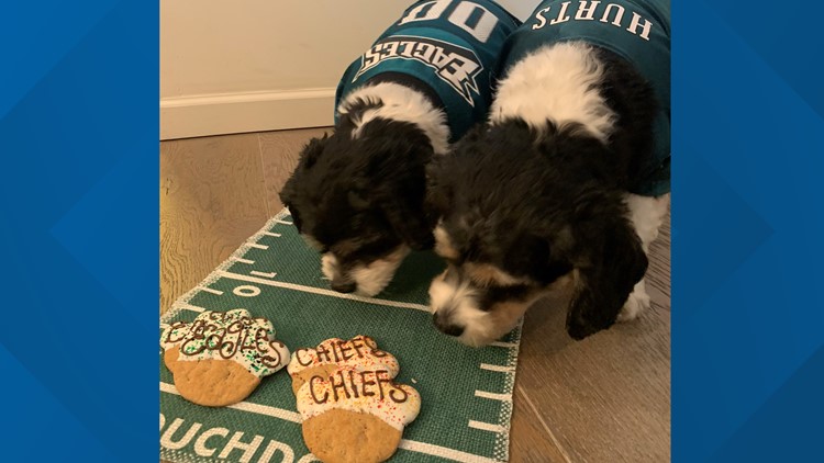 Small businesses getting into Super Bowl spirit with football-themed goods