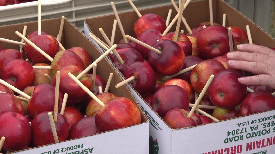 National Apple Harvest Festival is on this weekend, despite the rain