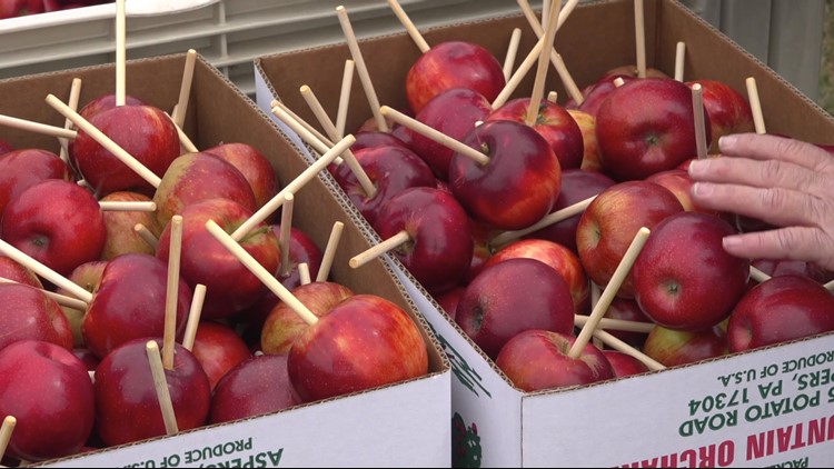 National Apple Harvest Festival is on this weekend, despite the rain