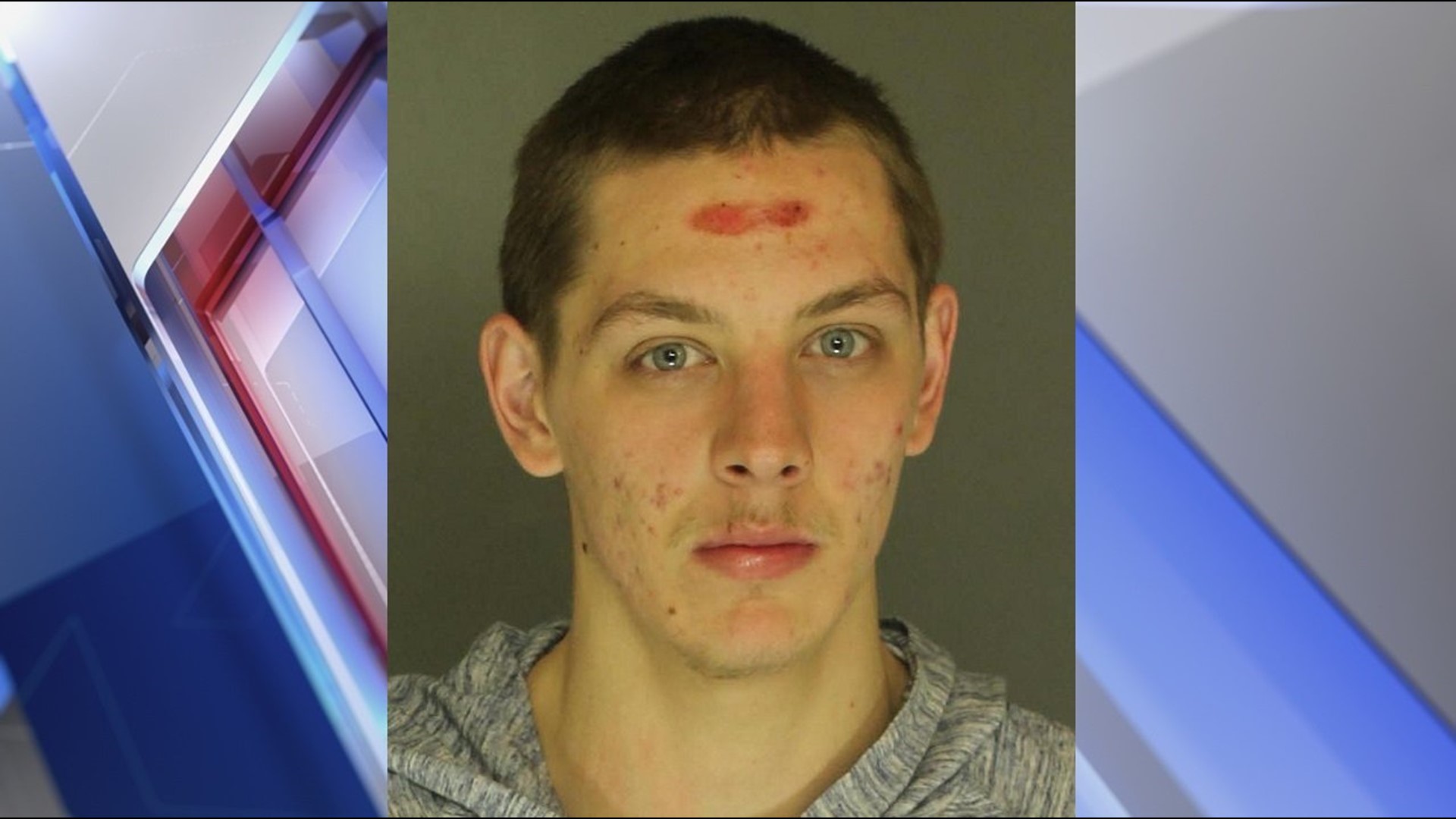 York County man charged after he allegedly punched man in face | fox43.com