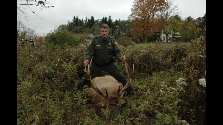 PA Elk shot illegally | fox43.com