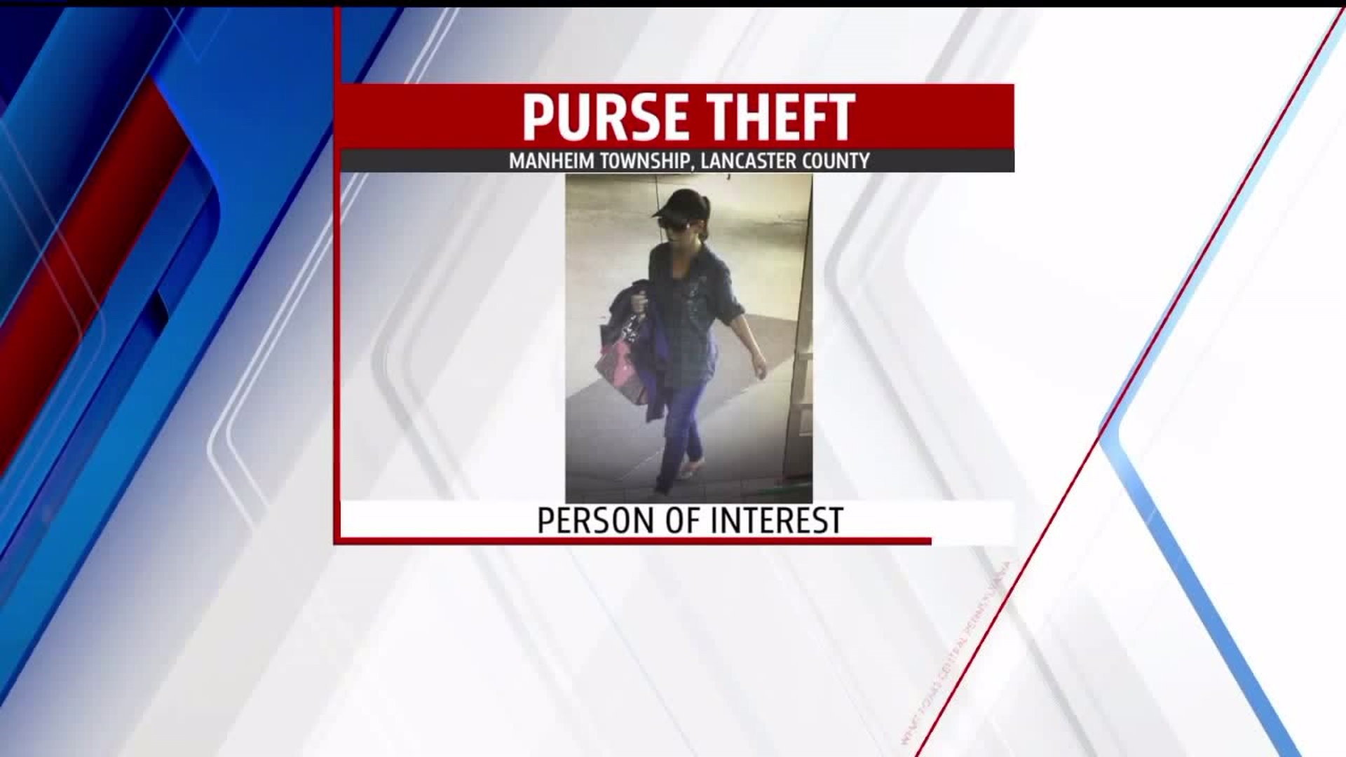 Manheim Township Police searching for suspected purse snatcher