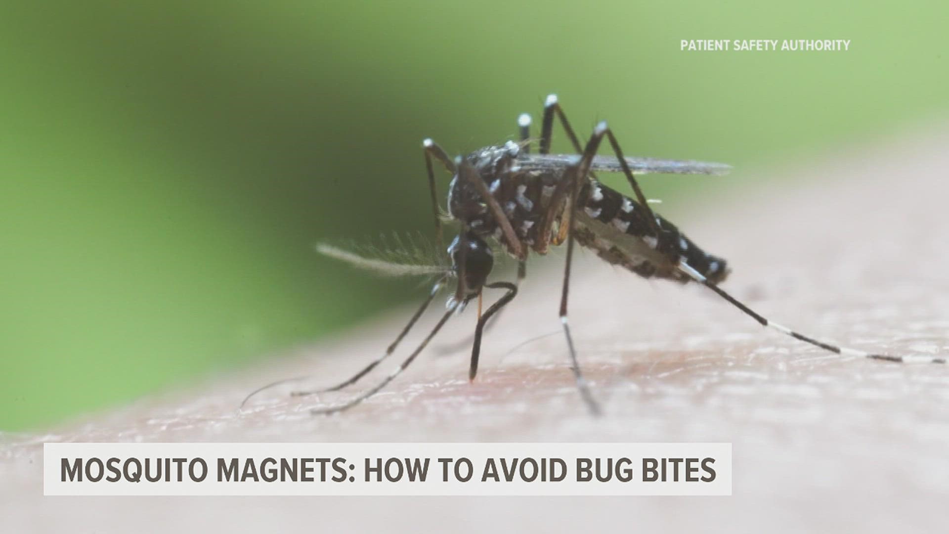 Warm and wet weather leads to more mosquitoes, some of which could carry diseases. Here's how to best avoid and treat bug bites.