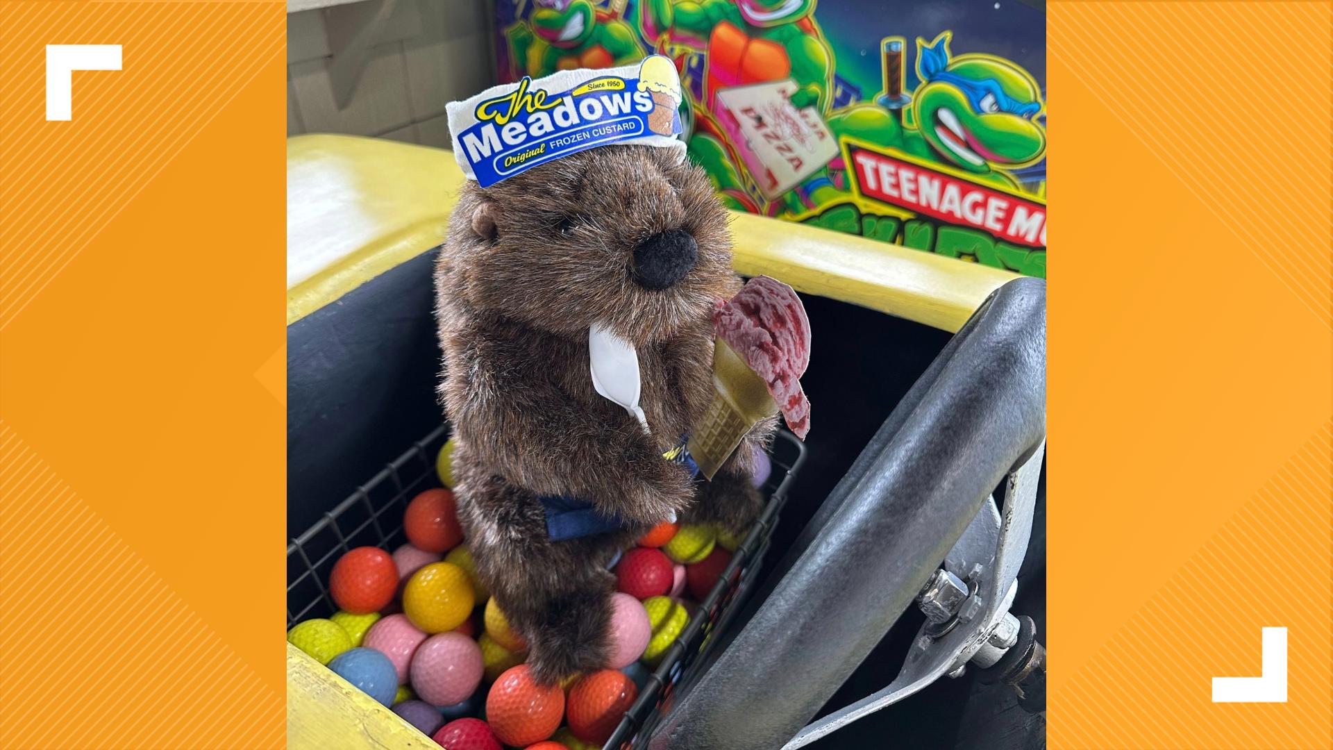 Groundhog found in claw machine honored by business | 5newsonline.com