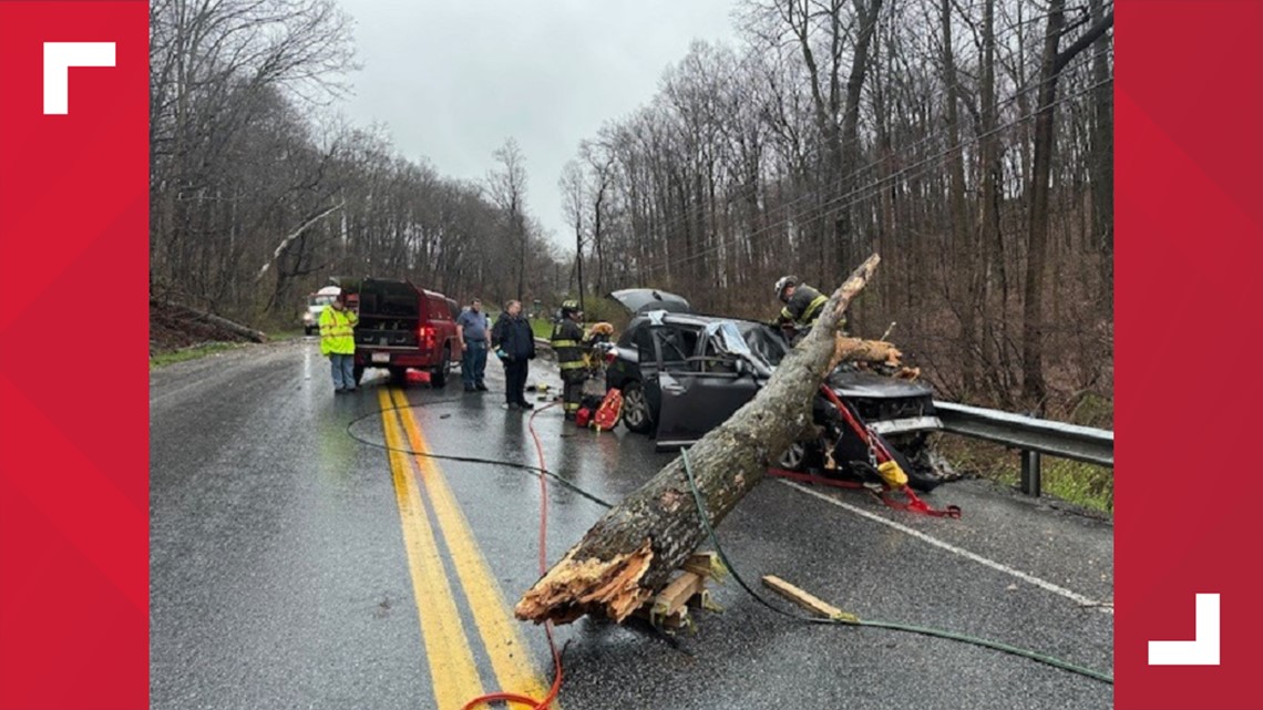 Two injured by falling tree in Lancaster County | fox43.com