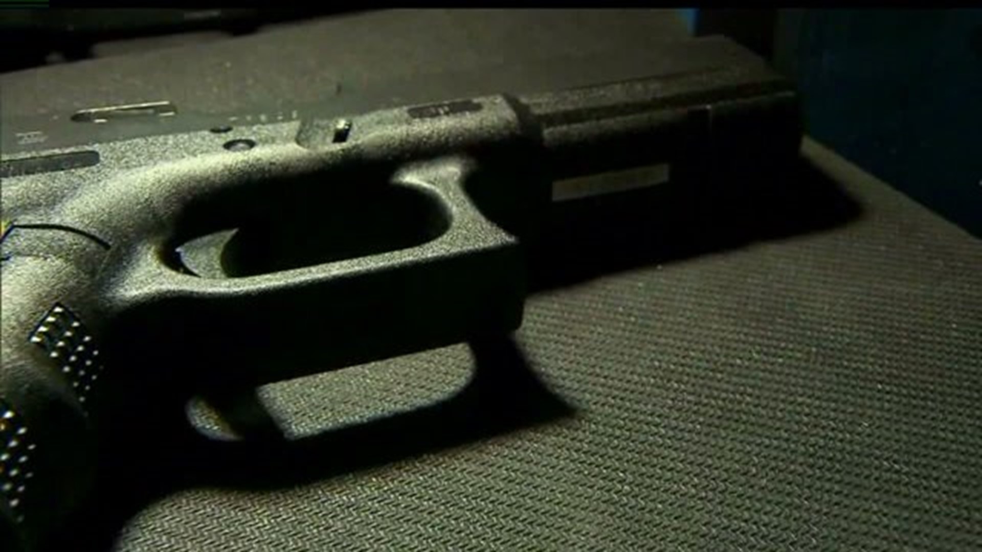 Harrisburg City Gun Laws Blocked