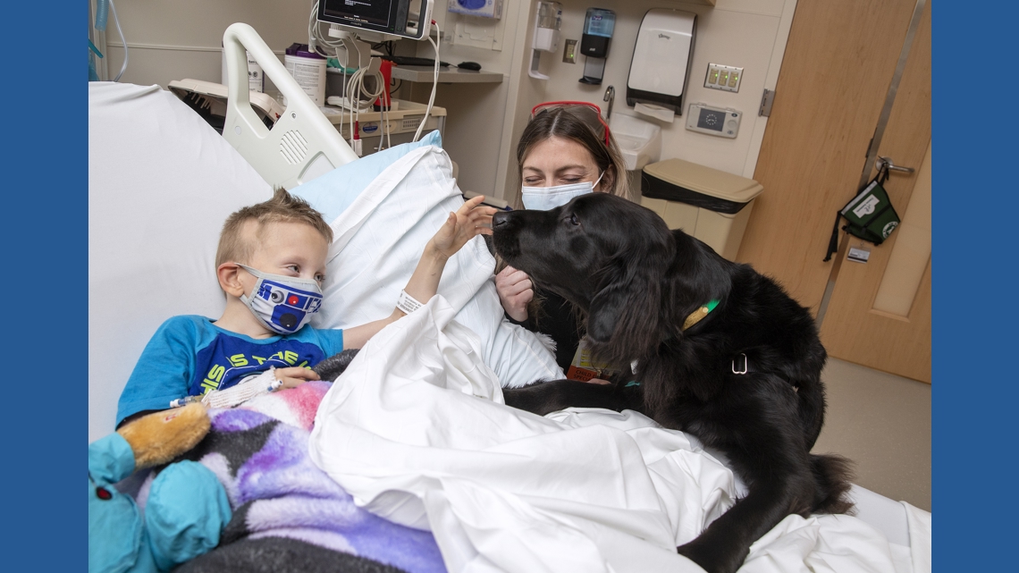 Penn State Health celebrate therapy dog's retirement