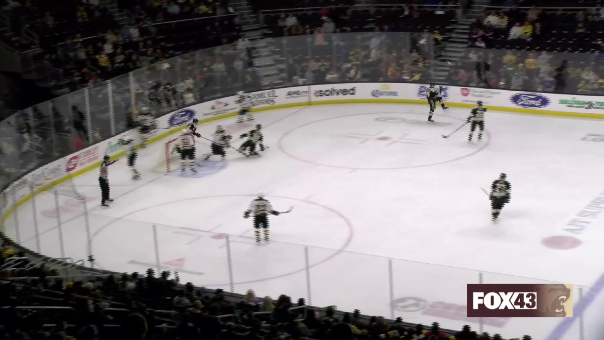 Highlights from Hershey Bears win over Providence Bruins in AHL hockey on 10-27-2024