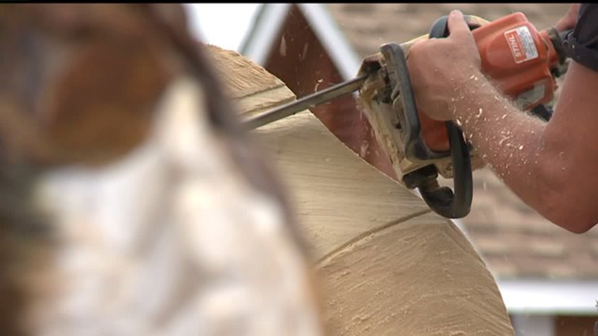 Chainsaw wood carver uses talents to help 3-year-old girl