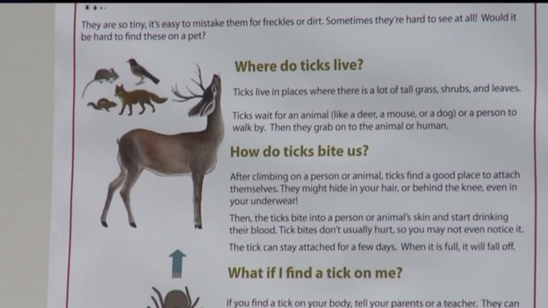 `Don`t Let a Tick Make You Sick` campaign launched in Cumberland County