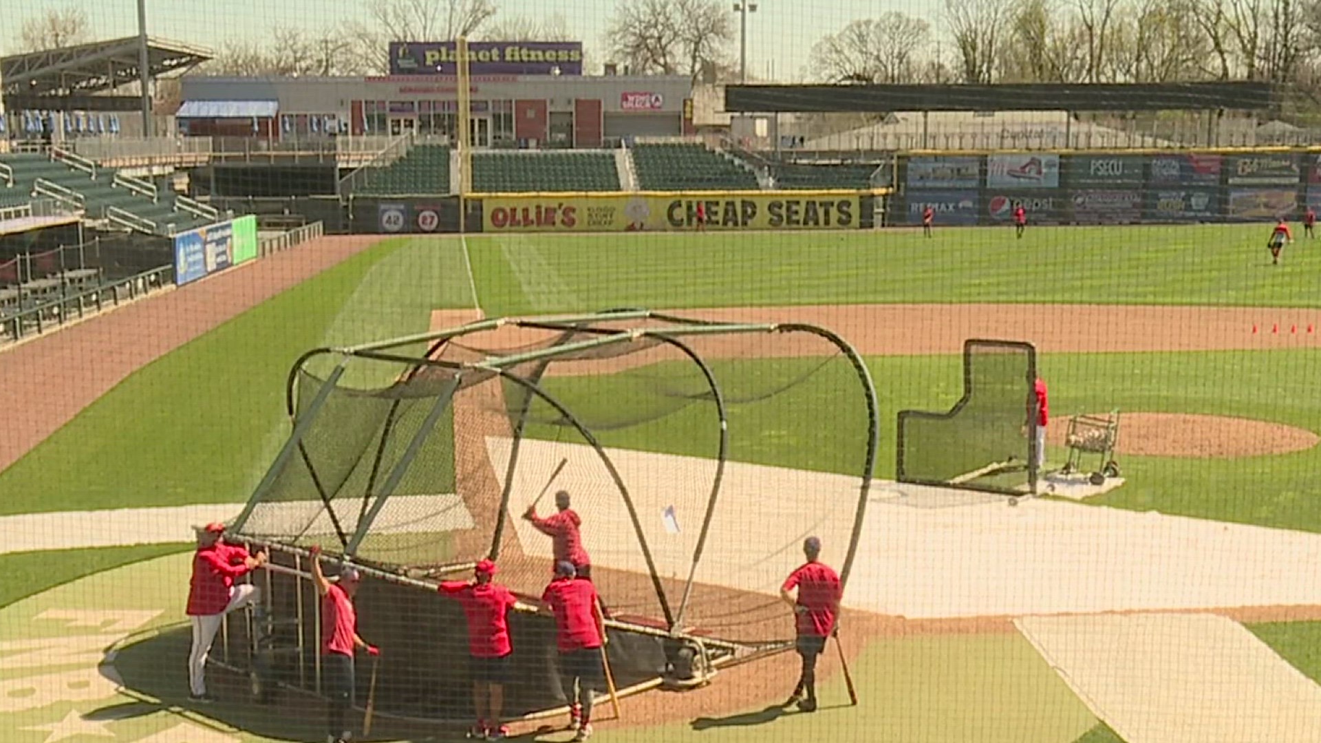 Harrisburg Senators Official Store