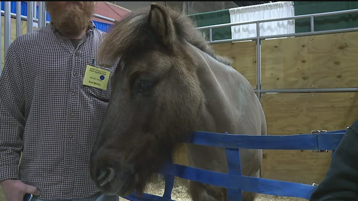 18th Annual Horse World Expo