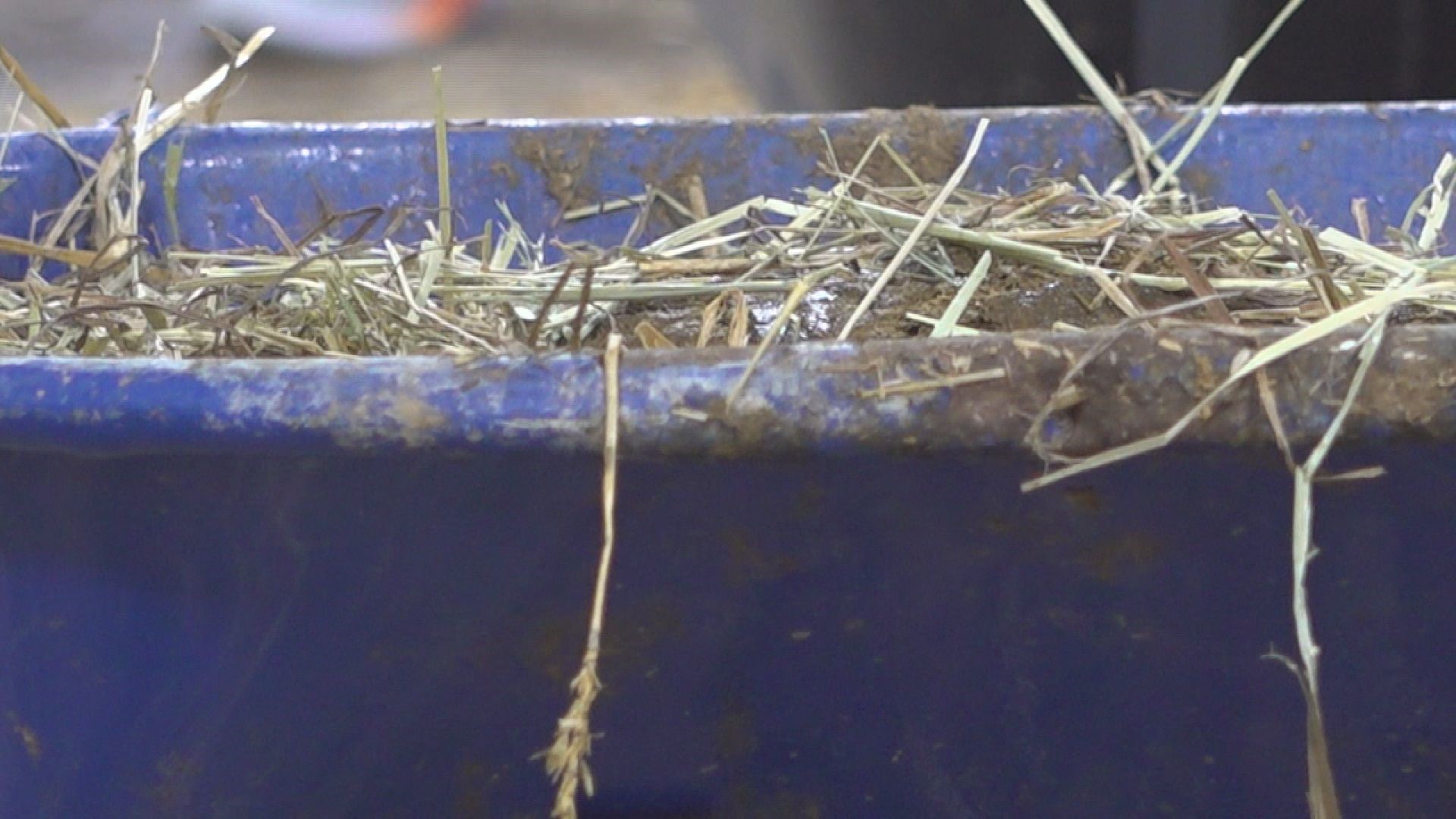 Animal droppings from the eight day long event are recycled for use on farms across the commonwealth.