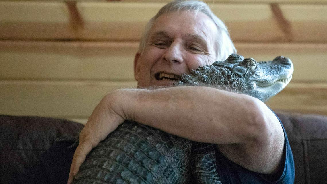 Pa. emotional support alligator with large social media audience reportedly missing in Georgia - Vimarsana News