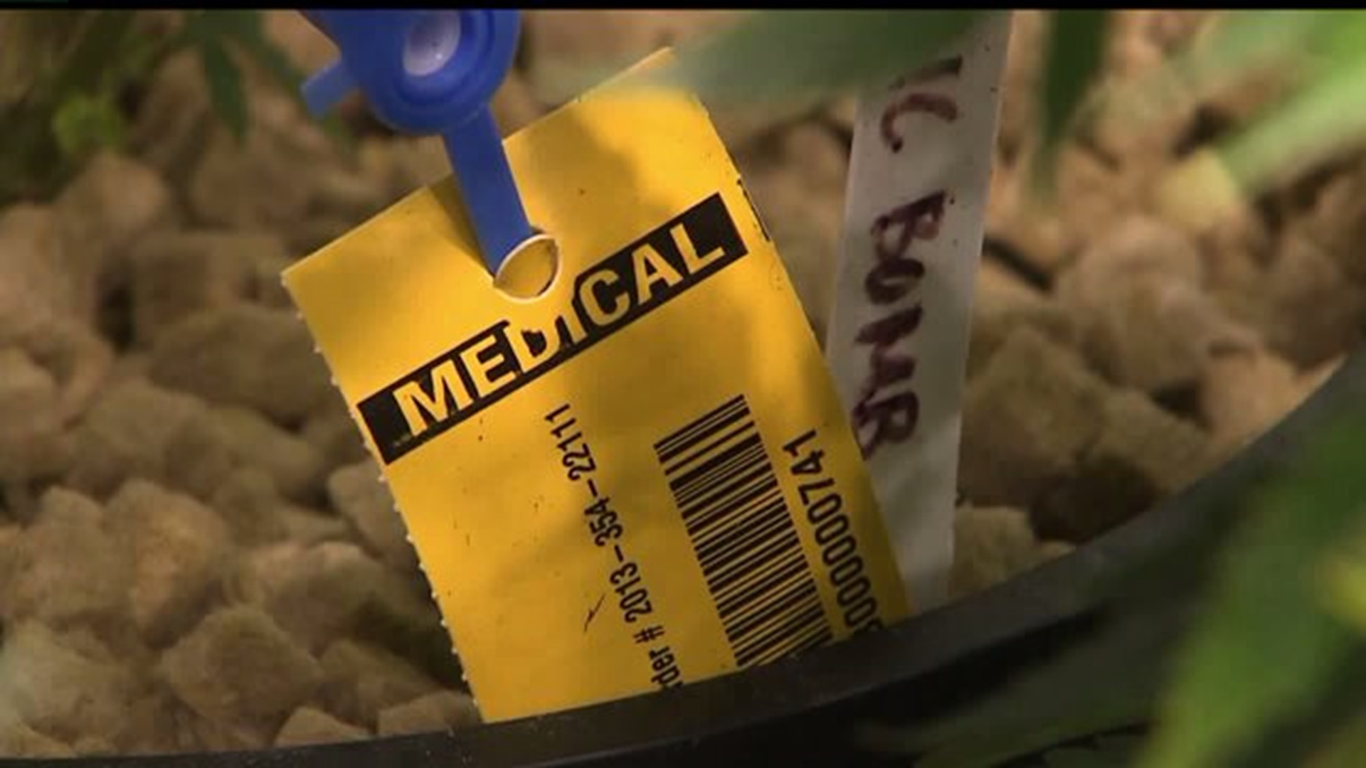 Regulations drafted for PA medical marijuana growers