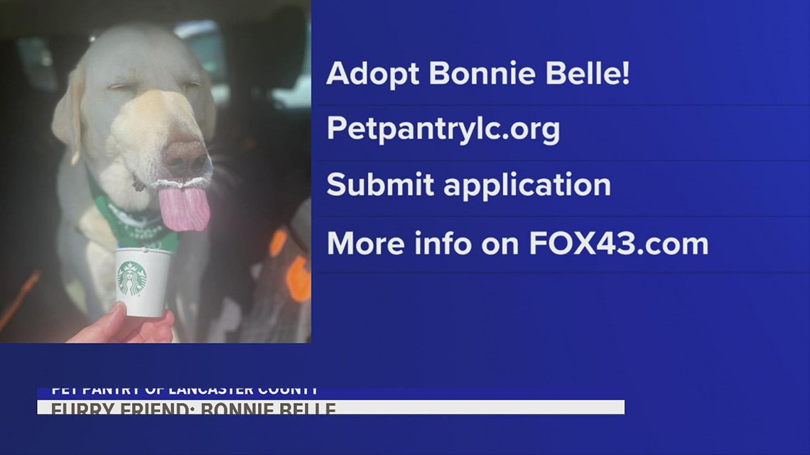 Furry Friends with Bonnie Belle
