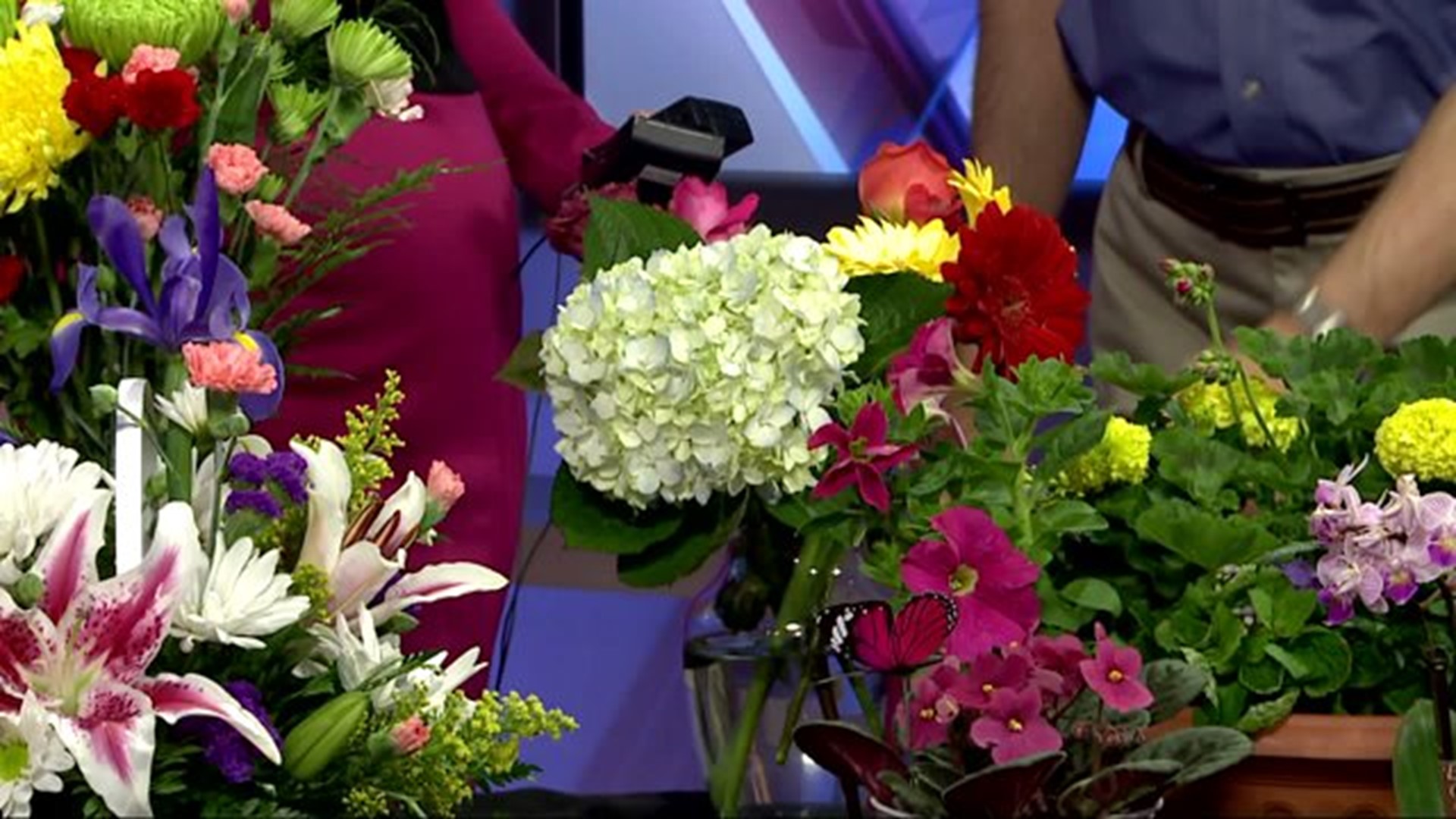 Royer`s Flowers previews their Mother`s Day selections