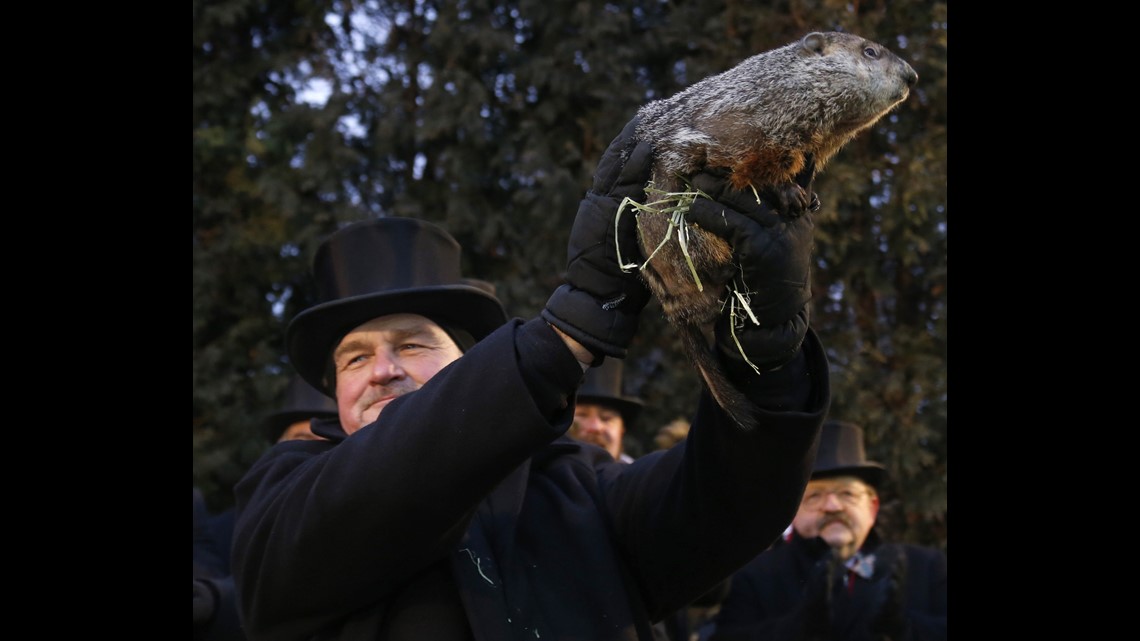 Today in History: Feb. 2, 1887 marked the first ever Groundhog Day