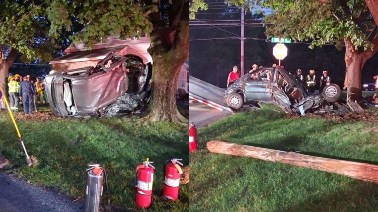 Crews respond to a vehicle into a tree in Lancaster County | fox43.com