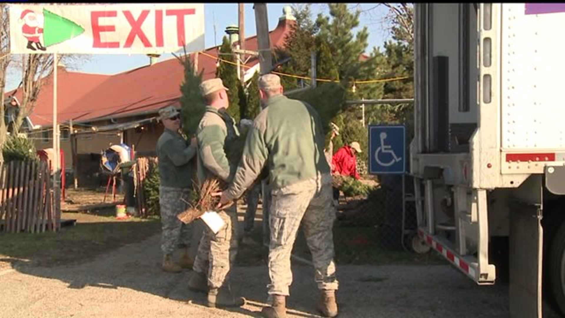 York business to send Christmas trees to troops and military families