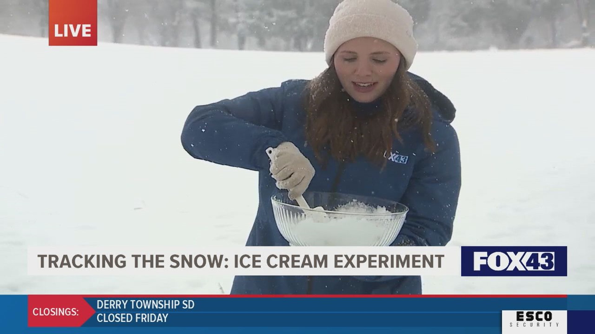 Creating snow ice cream can be an easy activity to do with the kids that requires just a few ingredients you likely already have at home.