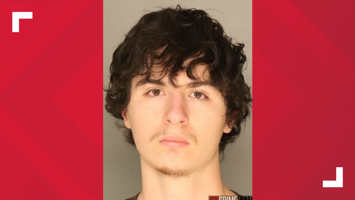 Man charged for child pornography - Vimarsana News