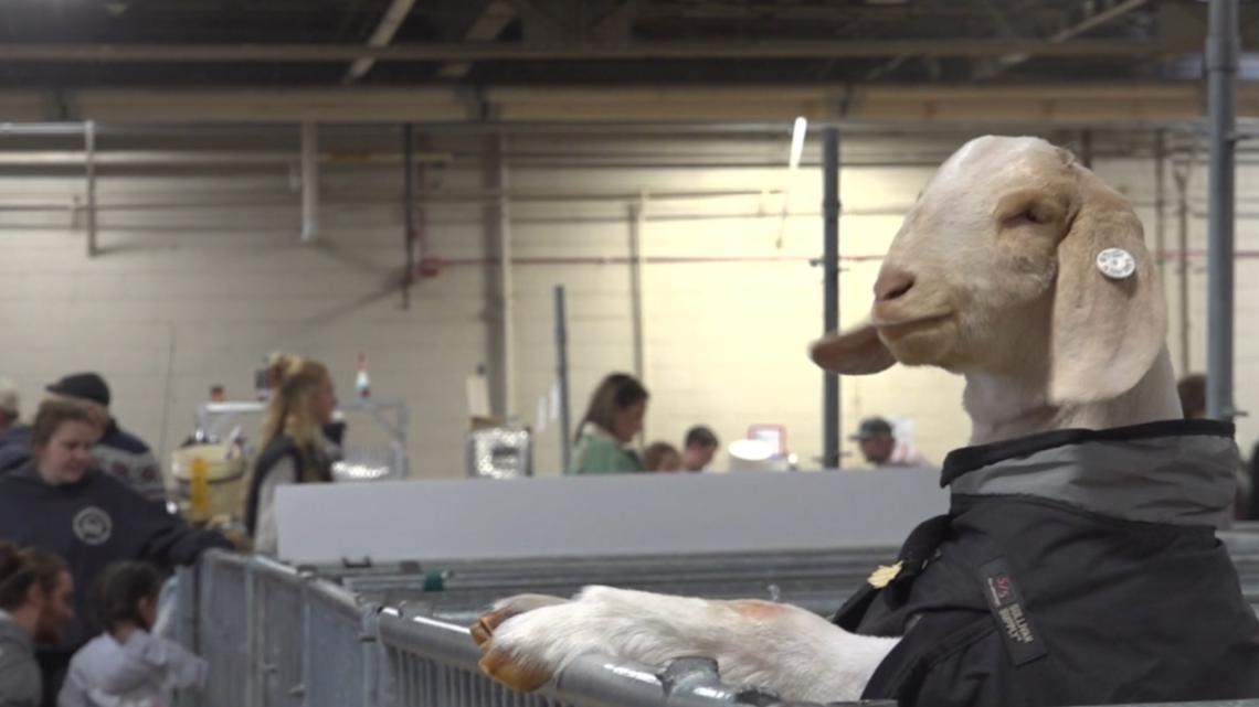 Animal health remains a top priority at the Pennsylvania Farm Show