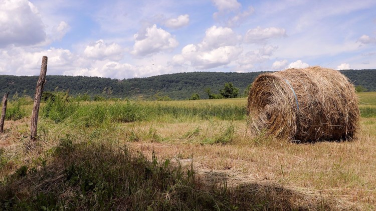 Cumberland County adds 187 acres of preserved farmland, marks 200th preserved farm since 1989